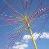 Beets Streets Creative Garden Sculpture Fort Collins Colorado Public Art, Colorado Artist Lisa Cameron Russell of Lisa J Cameron Artworks LLC